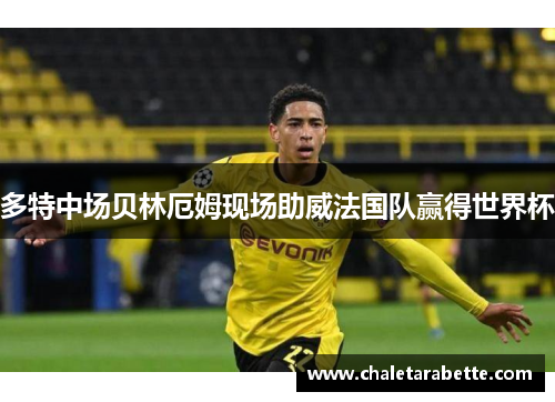 多特中场贝林厄姆现场助威法国队赢得世界杯